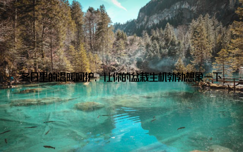 冬日里的温暖呵护, 让你的盆栽生机勃勃想象一下, 当你走进温暖的房间, 看到那些在冬日里依然绿意盎然的盆栽, 心情是否会变得愉悦? 这些绿色的生命, 不仅装点了你的生活, 更是冬日里的一抹温暖