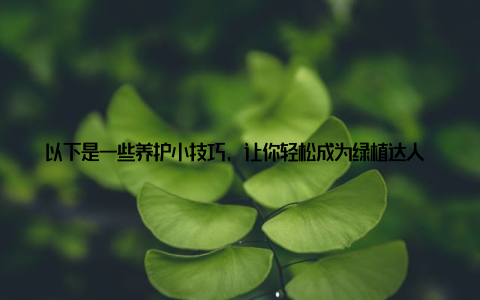 以下是一些养护小技巧, 让你轻松成为绿植达人 保持土壤湿润发财树喜欢湿润的环境, 所以要经常浇水, 保持土壤湿润