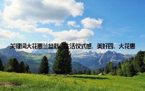 关键词大花惠兰盆栽、生活仪式感、美好四、大花惠兰盆栽, 寓意吉祥, 为家添福在我国传统文化中, 大花惠兰盆栽象征着吉祥、富贵