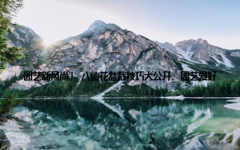 园艺新风尚! 八仙花盆栽技巧大公开, 园艺爱好者必看视频教程来袭! 随着生活节奏的加快, 越来越多的年轻人开始追求绿色生活, 园艺成为了他们放松身心、陶冶情操的新宠