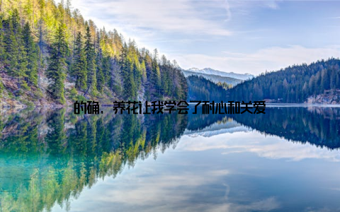 的确, 养花让我学会了耐心和关爱