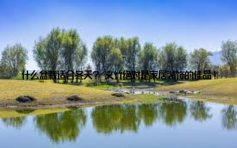 什么盆栽适合冬天? 文竹绝对是家居装饰的佳品! 第七波独具特色的空气凤梨空气凤梨是一种非常奇特的植物, 它不需要土壤, 只需空气和水分就能生长