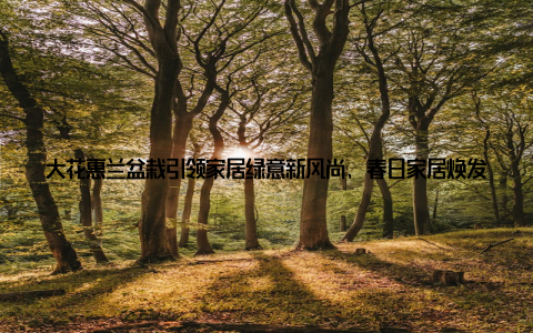大花惠兰盆栽引领家居绿意新风尚, 春日家居焕发生机随着春天的脚步渐近, 家居绿植市场再次迎来了生机勃勃的景象