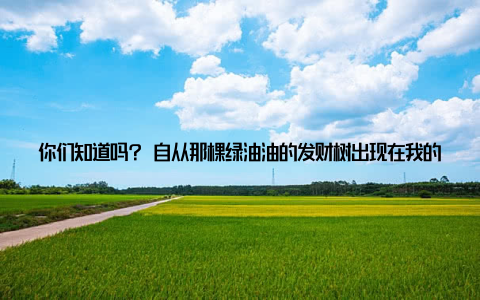 你们知道吗? 自从那棵绿油油的发财树出现在我的家中, 我的生活仿佛变了样, 家里充满了生机与活力, 仿佛吉祥富贵都随之而来
