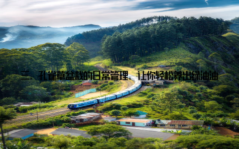 三、孔雀草盆栽的日常管理, 让你轻松养出绿油油的美景 定期检查定期检查孔雀草盆栽的生长状况, 及时发现并处理病虫害