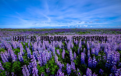 让我们一起, 用爱心和耐心, 守护这些坚韧的生命吧! 我想以一首小诗来结束我的分享仙人掌, 生命之花, 坚韧不屈, 傲然挺立