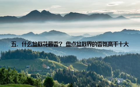 五、什么盆栽花最香? 盘点盆栽界的香氛高手十大最香花种, 让你的家瞬间变成香氛花园! 选择适合自己的香氛高手, 为家居环境增添一抹温馨, 让生活更加美好!
