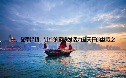 一、冬季绿植, 让你的家焕发活力冬天开的盆栽之所以如此受欢迎, 正是因为它们在寒冷的季节里, 依然能够为我们的生活带来一份清新与活力