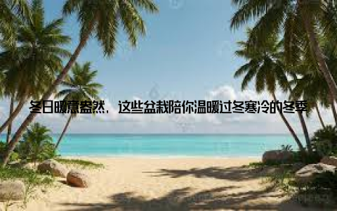 冬日暖意盎然, 这些盆栽陪你温暖过冬寒冷的冬季, 如何让家中充满生机与活力? 一份冬季养花攻略, 带你挑选最适合家养的盆栽植物, 让温暖陪伴你的每一个冬日