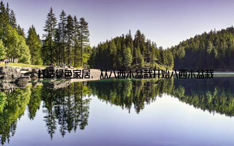 三、打造绿色家居, 从八西木盆栽开始八西木盆栽的养护非常简单, 即使是没有绿植养护经验的朋友也能轻松上手