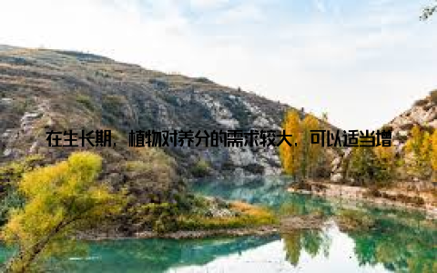 在生长期, 植物对养分的需求较大, 可以适当增加施肥频率在休眠期, 植物生长缓慢, 应减少施肥量在生长旺盛期, 植物需要更多的养分, 这时应适当增加施肥次数