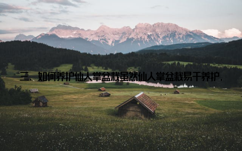 三、如何养护仙人掌盆栽虽然仙人掌盆栽易于养护, 但仍需注意以下几点 适量浇水仙人掌对水分的需求较低, 浇水时注意不要过量, 以免造成根部腐烂