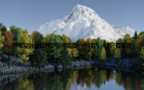 冬季室外盆栽养护虽然需要一些技巧, 但只要掌握正确的方法, 您的绿植就能安然过冬, 继续为您的生活增添绿色