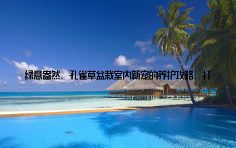 绿意盎然, 孔雀草盆栽室内新宠的养护攻略, 打造你的温馨小天地! 家, 是我们心灵的港湾, 而一盆盆绿植, 就是点缀这个港湾的美丽音符