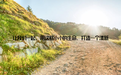 让我们一起, 用这些小小的生命, 打造一个清新、美好的生活空间吧! 八西木盆栽, 家居绿植新宠, 让我的家焕发了新的活力