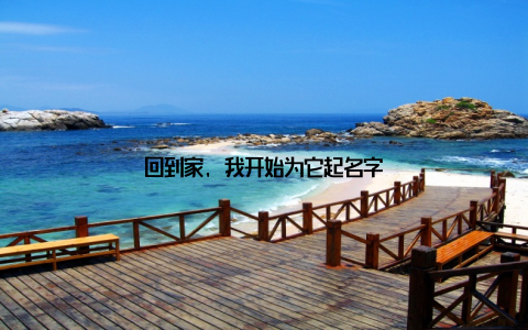 回到家, 我开始为它起名字