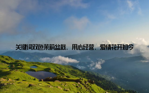 关键词双色茉莉盆栽, 用心经营, 爱情花开如今, 小雅和小杰的爱情已经开花结果, 他们携手走进了婚姻的殿堂
