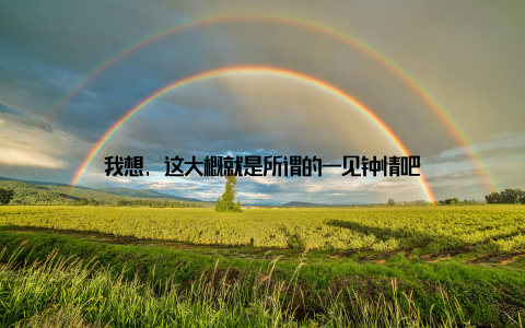 我想, 这大概就是所谓的一见钟情吧