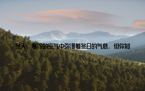 冬天, 寒冷的空气中弥漫着冬日的气息, 但你知道吗? 在这个看似不适合种植的季节, 其实正是打造温暖家居盆栽乐园的最佳时机