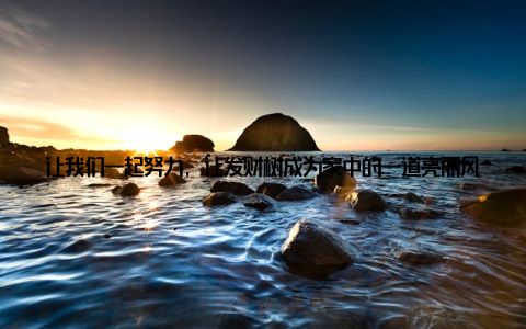 让我们一起努力, 让发财树成为家中的一道亮丽风景线吧! 记住, 用心呵护, 收获满满! 在养发财树的过程中, 你可能会遇到各种问题, 但不要气馁