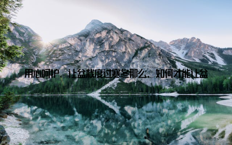 用心呵护, 让盆栽度过寒冬那么, 如何才能让盆栽在寒冷的冬天绽放呢? 下面就是我的一些养护秘籍, 希望能帮到你们 选择合适的盆栽品种冬季室内盆栽养护, 要选择耐寒性强的品种