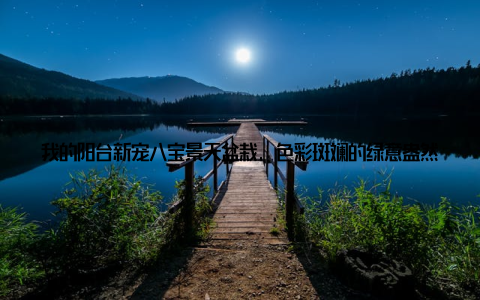 我的阳台新宠八宝景天盆栽, 色彩斑斓的绿意盎然亲爱的朋友们, 你们有没有想过, 家里的阳台也可以变成一个小小的花园? 今天, 我要和大家分享我的阳台新宠八宝景天盆栽