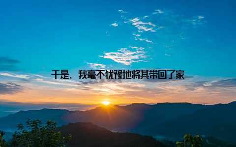 于是, 我毫不犹豫地将其带回了家