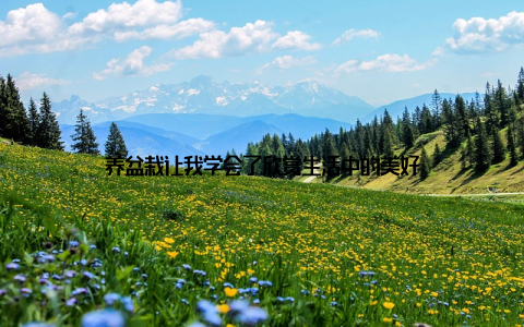 养盆栽让我学会了欣赏生活中的美好