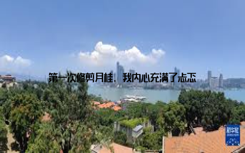 第一次修剪月桂, 我内心充满了忐忑