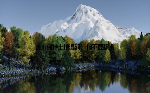 浇水保持土壤湿润, 但不要积水