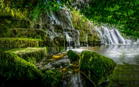 如吊兰、常春藤、铁线莲等