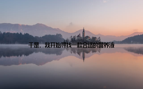 于是, 我开始寻找一款合适的营养液