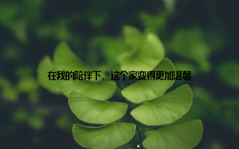 在我的陪伴下, 这个家变得更加温馨