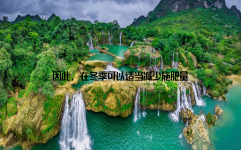 因此, 在冬季可以适当减少施肥量