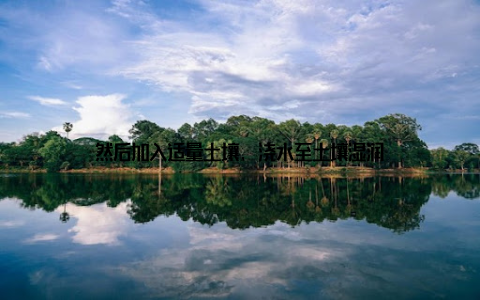 然后加入适量土壤, 浇水至土壤湿润