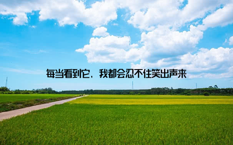 每当看到它, 我都会忍不住笑出声来