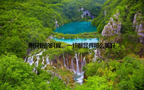 刚开始的时候, 一切都显得那么美好