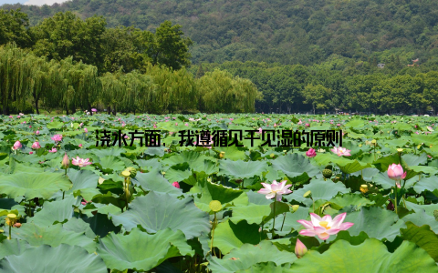 浇水方面, 我遵循见干见湿的原则