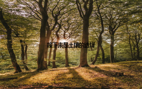 接下来是土壤的选择