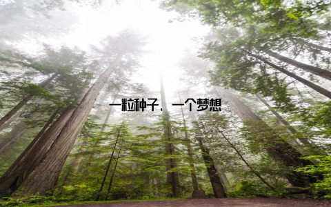 一粒种子, 一个梦想