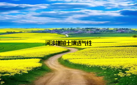 河沙增加土壤透气性