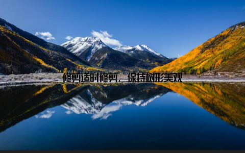 修剪适时修剪, 保持树形美观