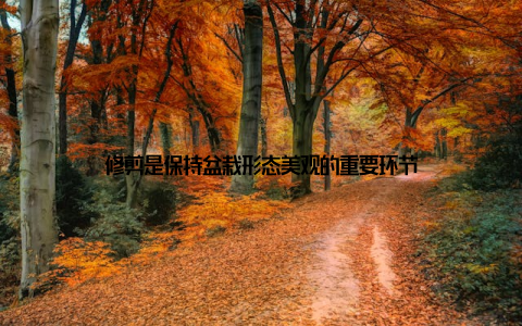 修剪是保持盆栽形态美观的重要环节