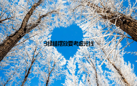 3绿植摆放要考虑光线