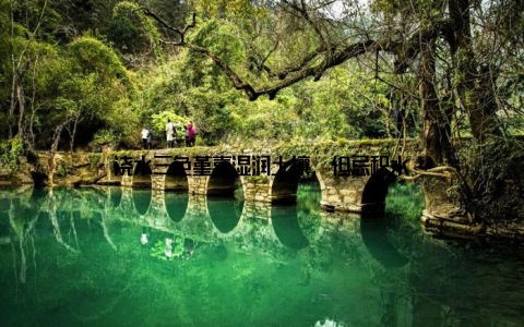 浇水三色堇喜湿润土壤, 但忌积水