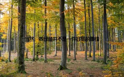 当然, 养绿植并不是一件容易的事情