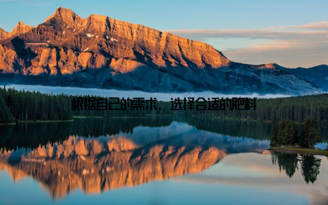 根据自己的需求, 选择合适的肥料