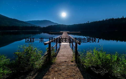 这样一来, 绿植的生长速度也更快了