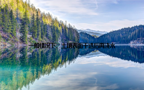 一般情况下, 土壤表面干透后再浇水