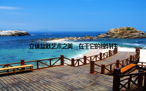 立体盆栽艺术之美, 在于它的独特性